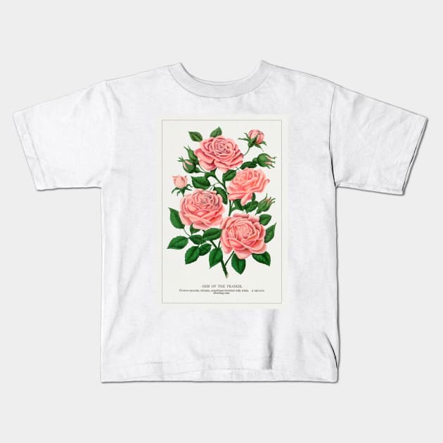 Pink rose, Gem of the Prairie lithograph (1900) Kids T-Shirt by WAITE-SMITH VINTAGE ART